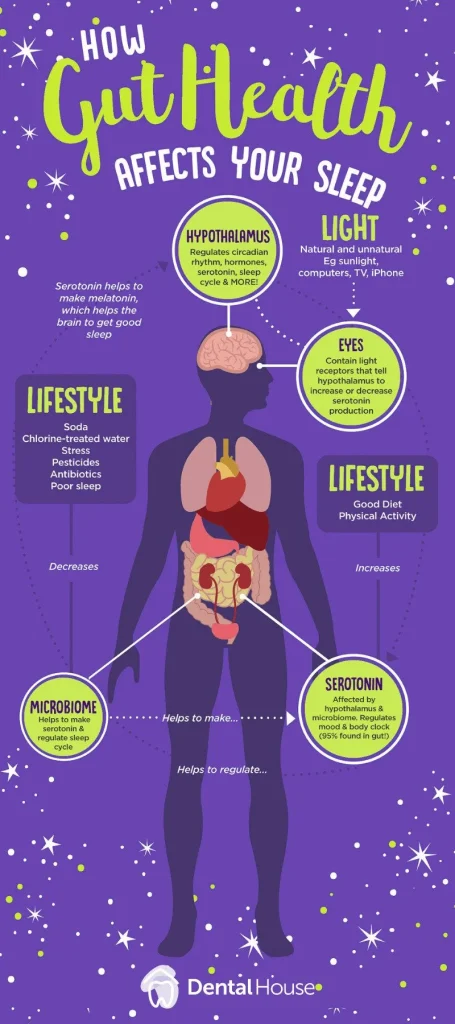 How Gut Health Affects Your Sleep DHG May Infographic 1