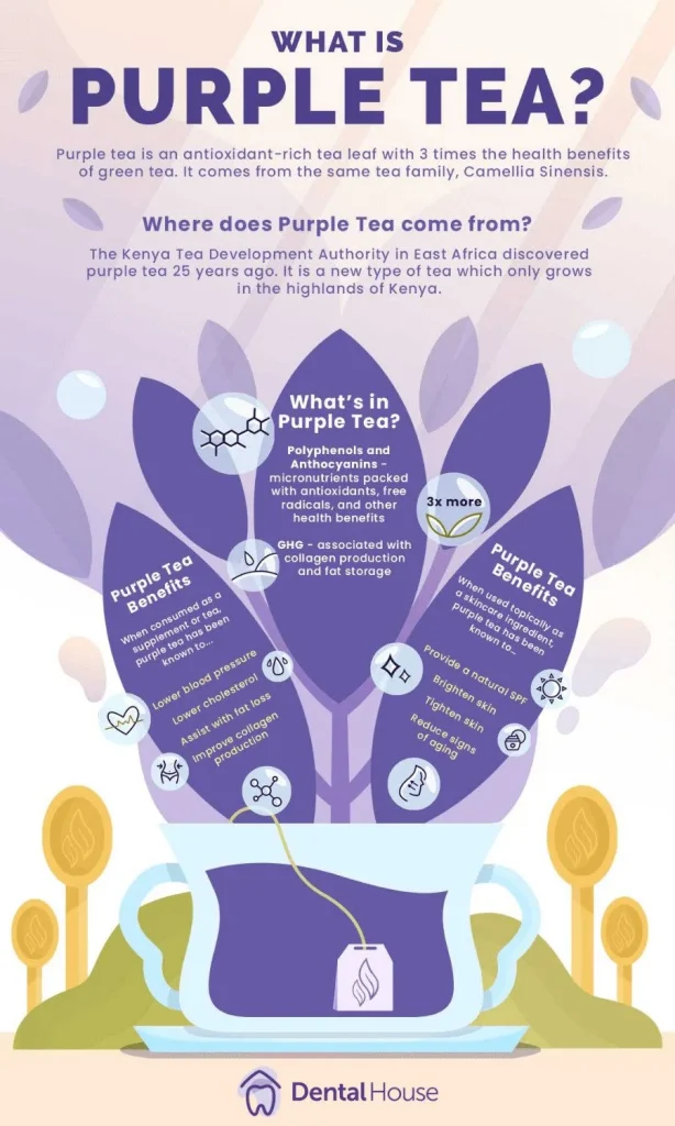 What is Purple Tea? DHG NOV WellnessInfo 1