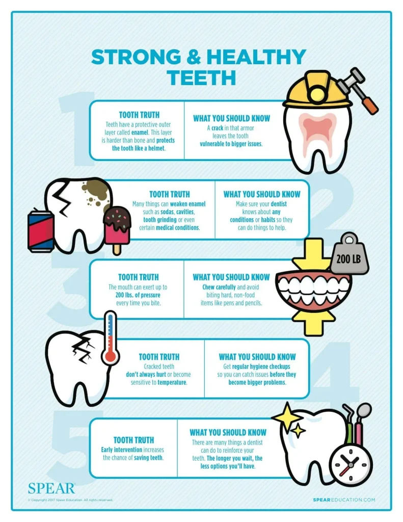 Dental House Dental Infographics StrongandHealthyTeeth