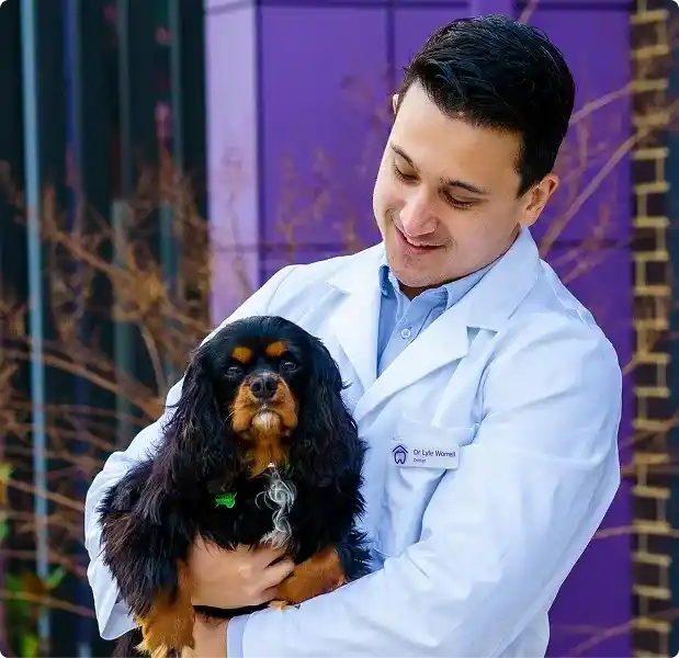 your most gentle dental expirience